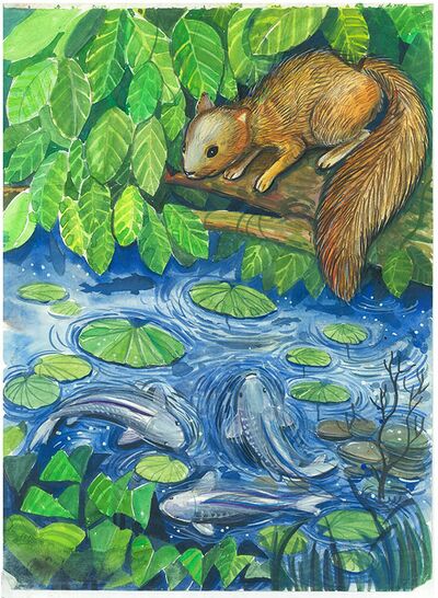 KS Poster Colour Sample - Squirrel And Fish In Pond